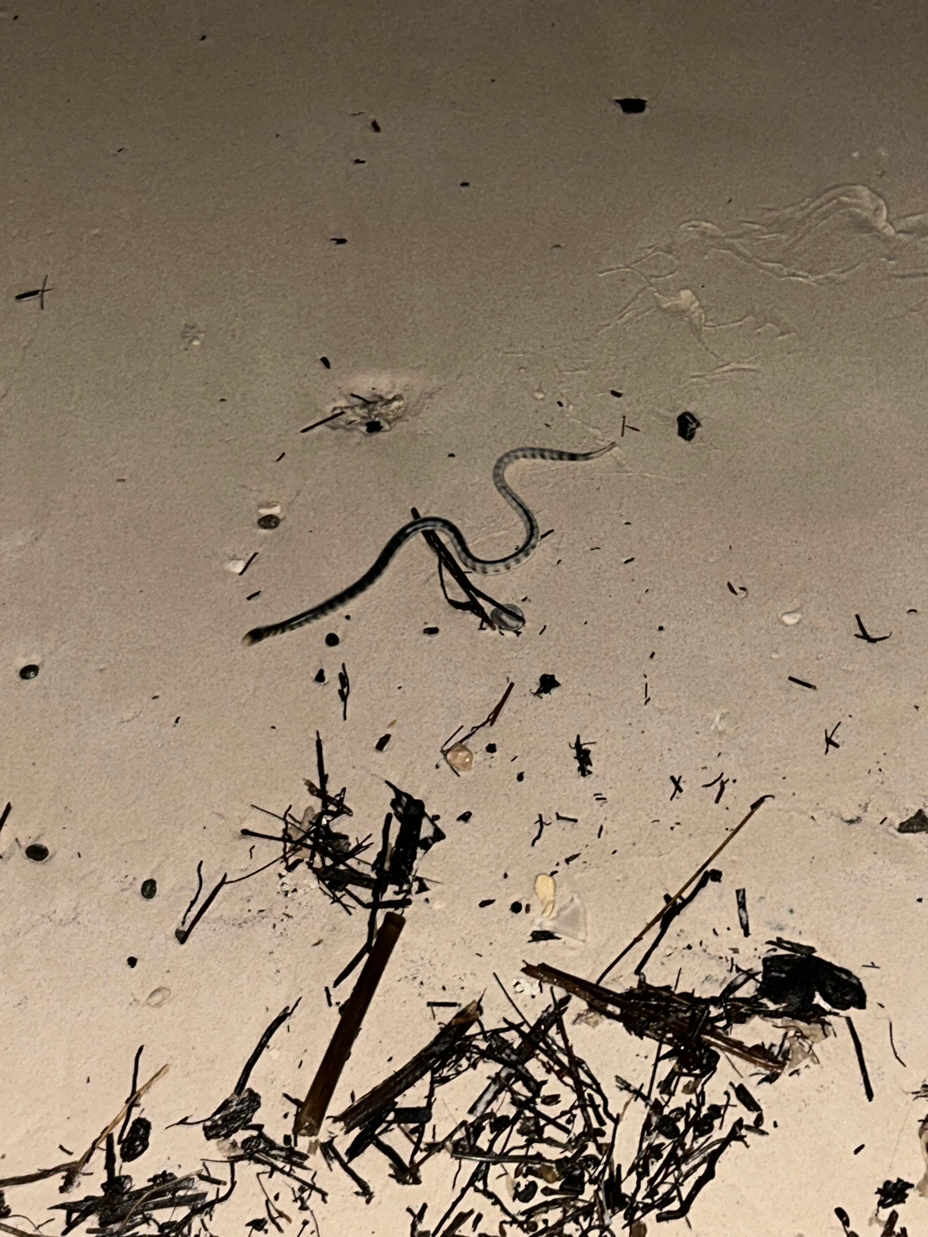 Photo 13 from Boracay