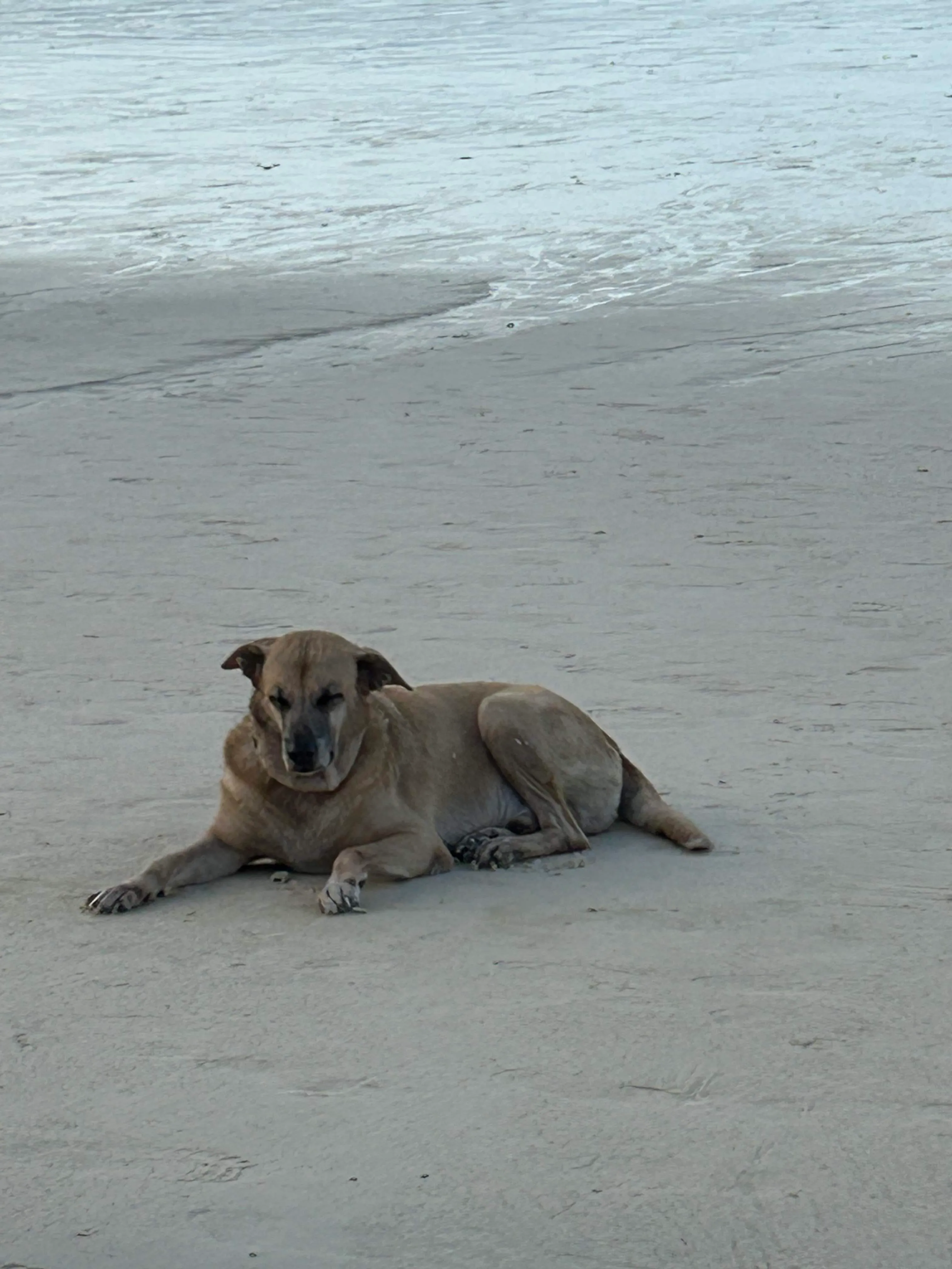 Photo 3 from Boracay