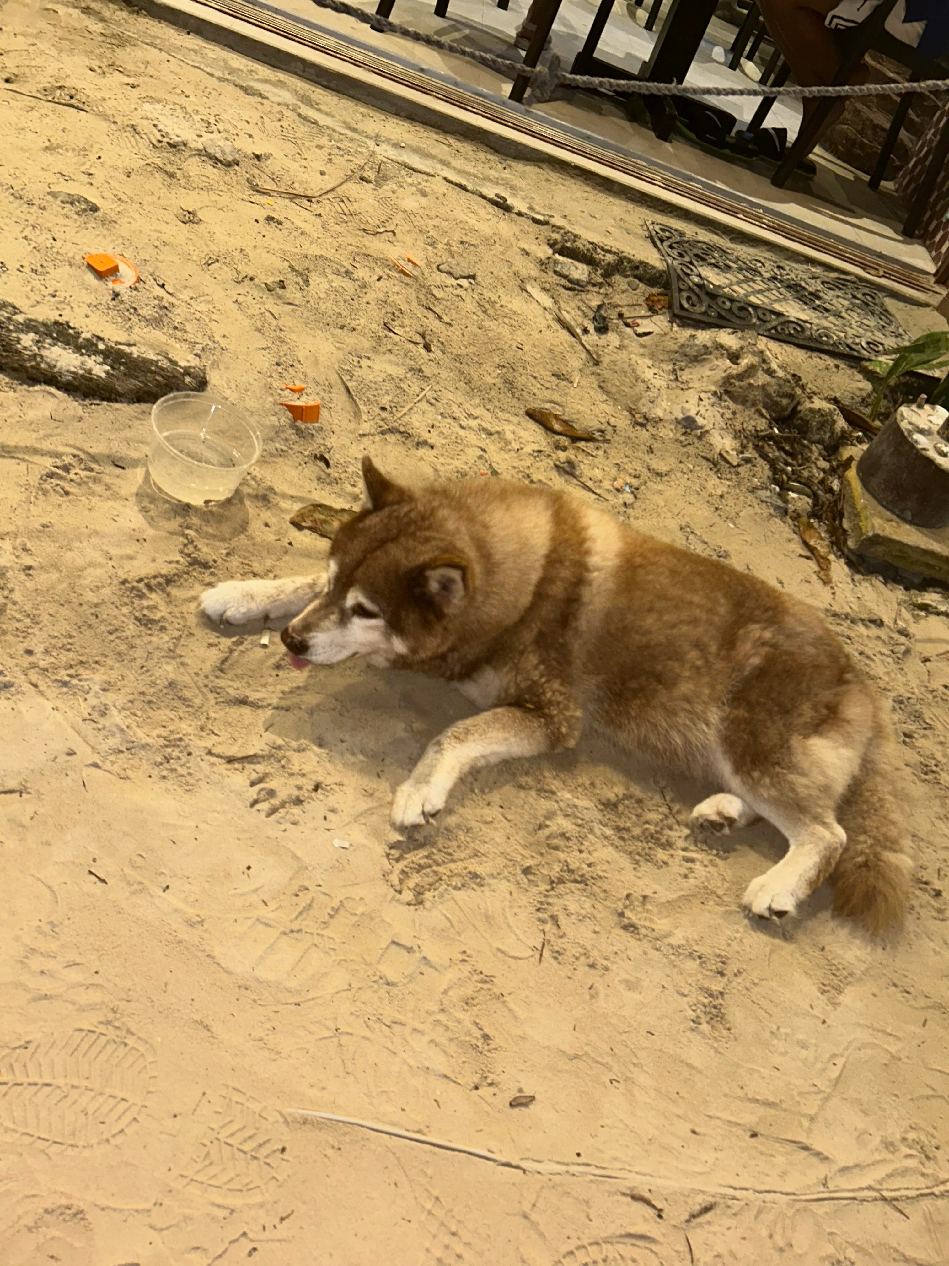 Photo 16 from Boracay